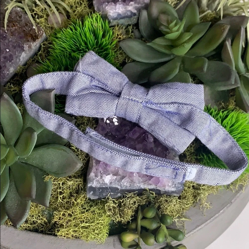 Baby Boy Micro Check blue and white GQ bow tie